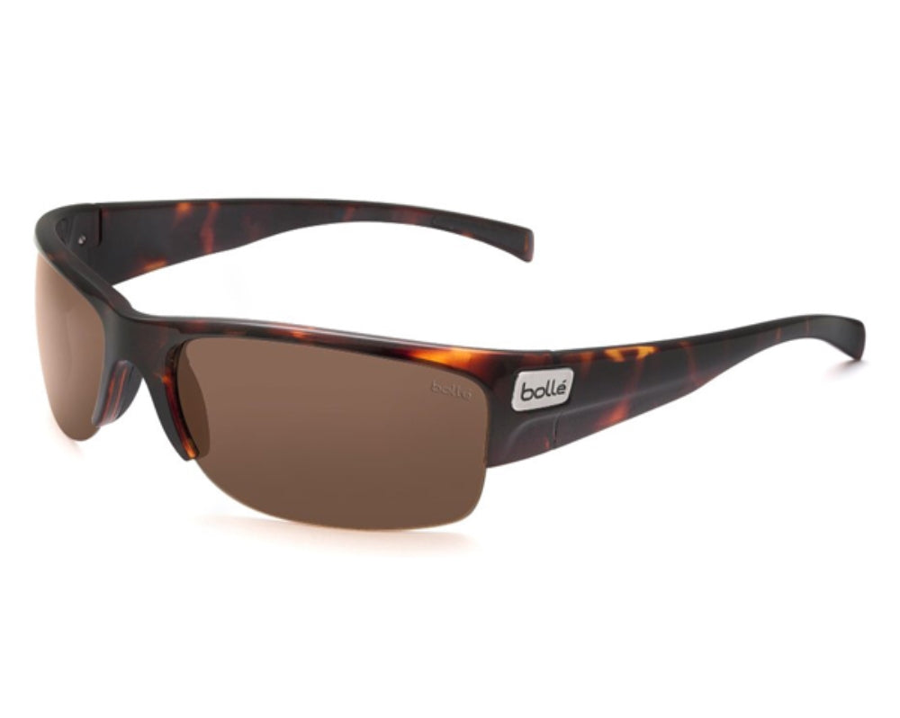 Bolle Zander