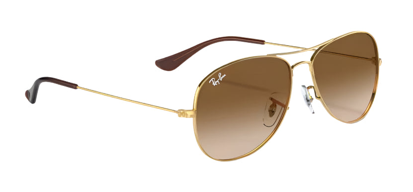 Ray Ban 3362 Cockpit – sunglasssafari
