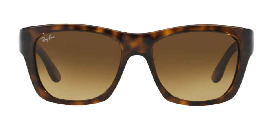 Ray Ban 4194 710/85 53