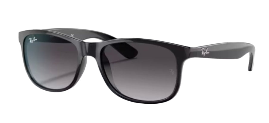 Ray Ban 4202 Andy