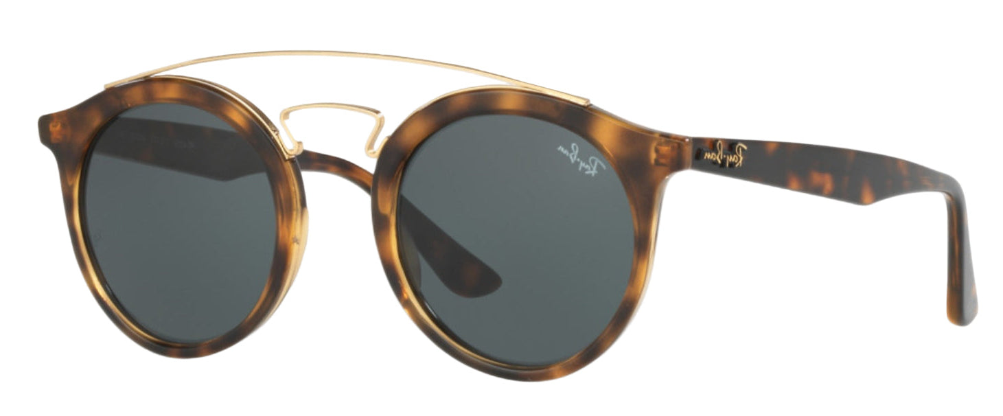 Ray Ban 4256 Gatsby – sunglasssafari