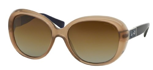 Coach 8120 (L094) – sunglasssafari