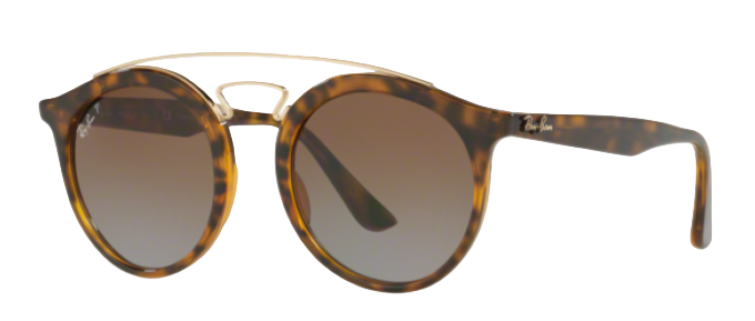 Ray Ban 4256 Gatsby – sunglasssafari - Main Image